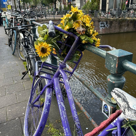 Meet your Posher, Sarah - Picture 1 of 9